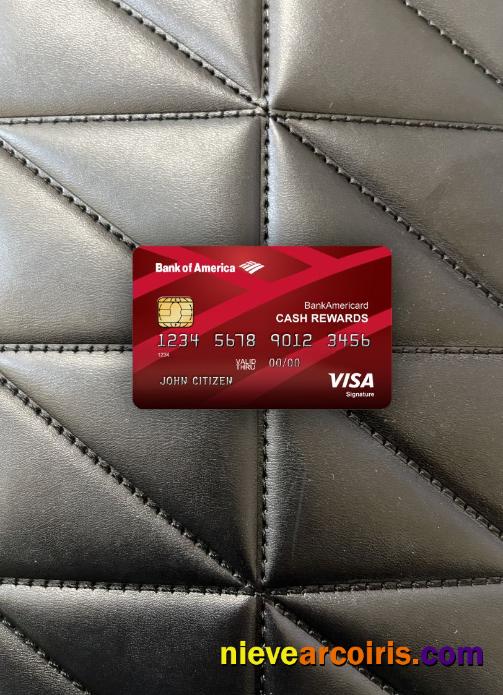 USA Bank of America Visa signature card photolook